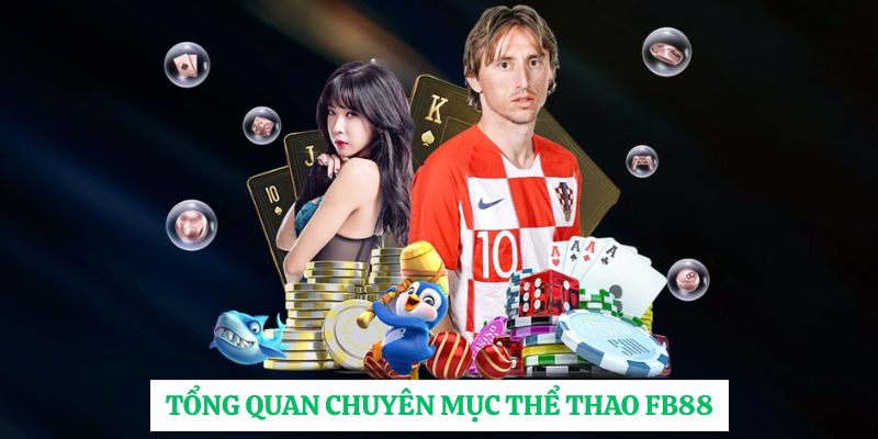 Tổng quan chuyên mục thể thao FB88